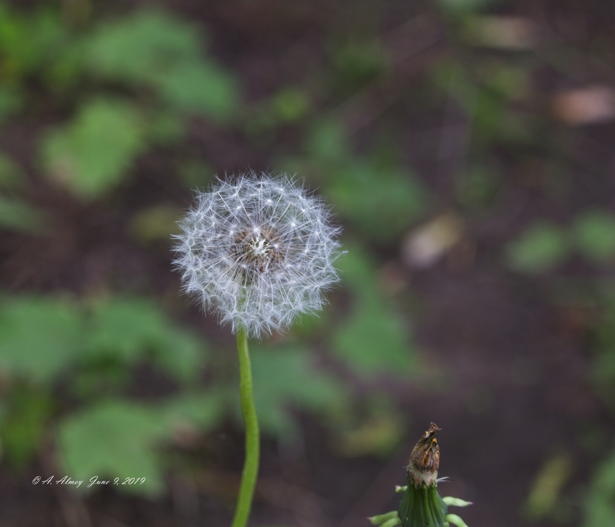 img_3690-73f518e30daf4a0f635c488849a80126a5e283dc