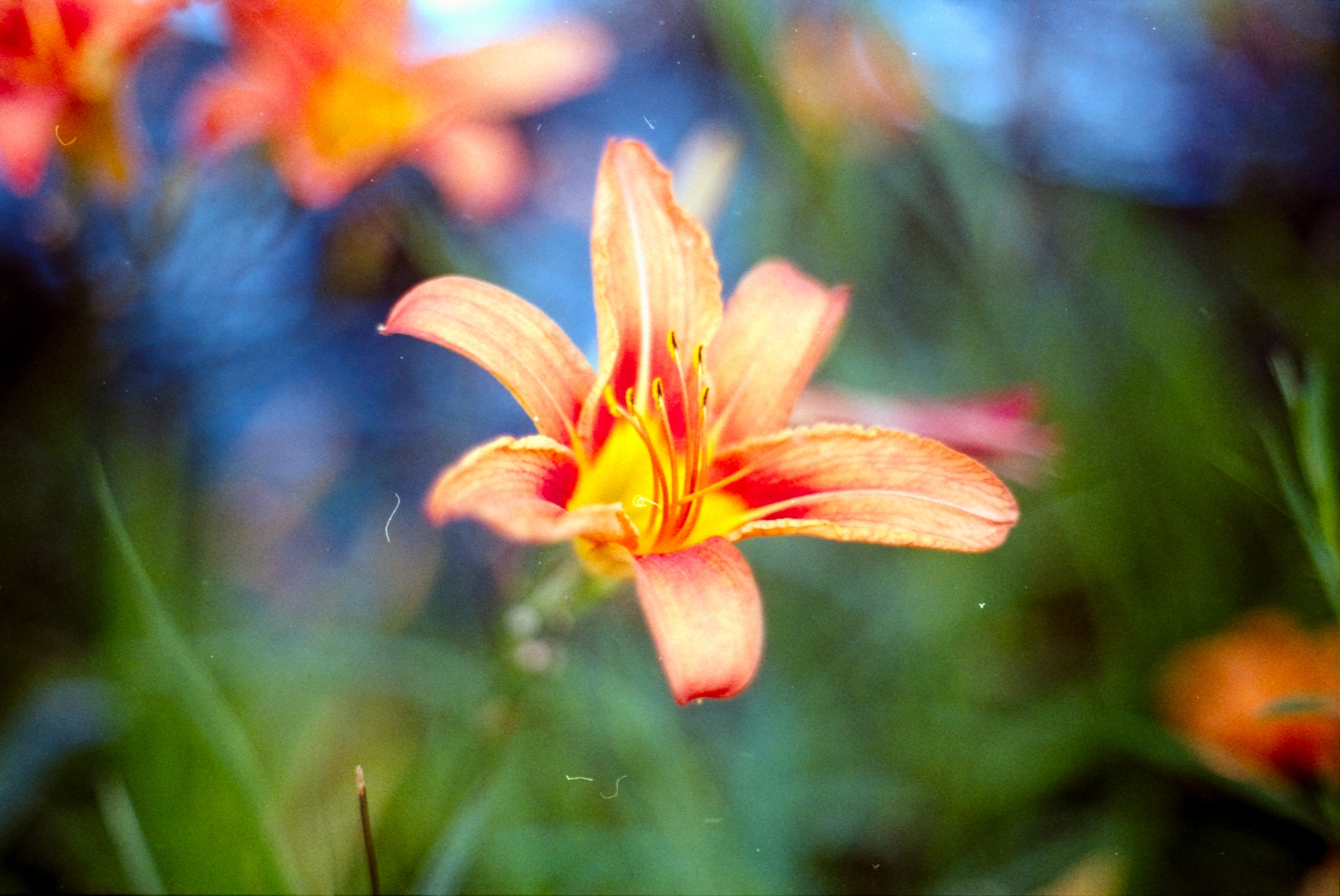 kodakgold200-17-9dc01bff76d6b62d651be4cc2025a5c2e8398aa5