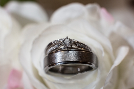 2015-10-10_nickcassandra_wedding__x0a3789_by_quinte_studios_web-7566f41593c3406cc268800cedef8b7c2a61f477