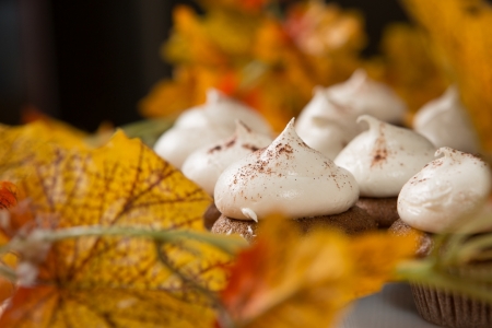 2015-10-16_Savour__X0A5115_by_Quinte_Studios_web