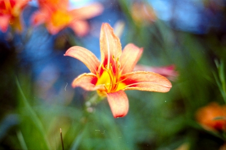 kodakgold200-17-9dc01bff76d6b62d651be4cc2025a5c2e8398aa5